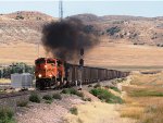 BNSF 9233